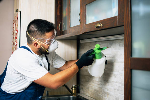 Best Rat Extermination Near Me  in Maryvle, IL