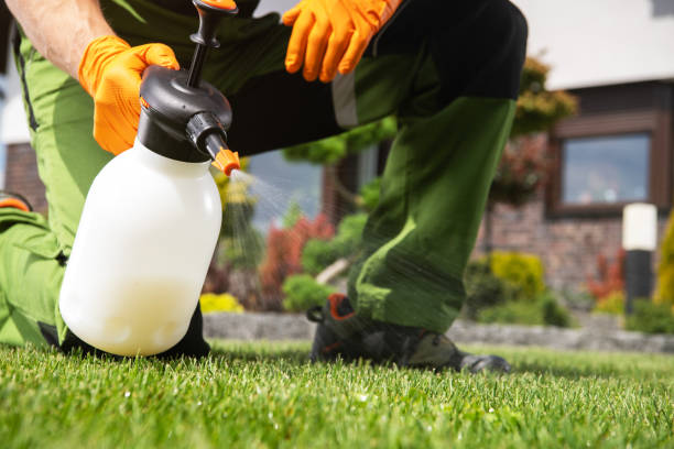 Best Pest Control for Restaurants  in Maryvle, IL