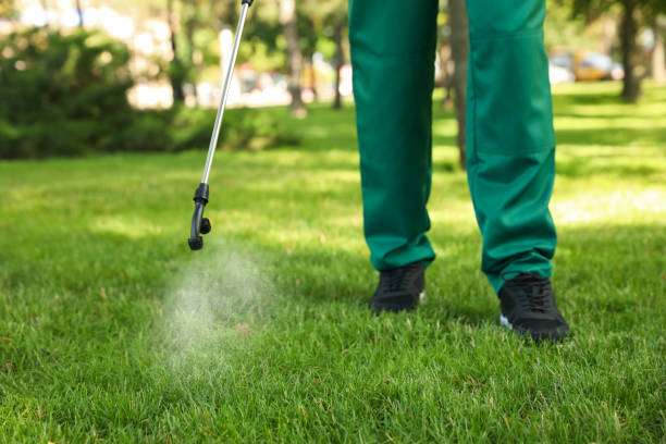 Best Termite Control Services  in Maryvle, IL