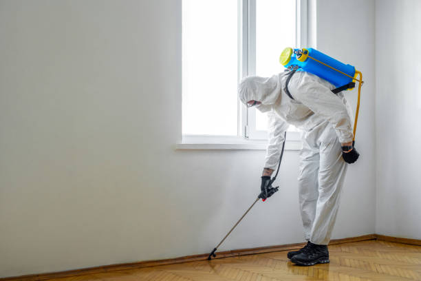 Trusted Maryville, IL Pest Control Experts