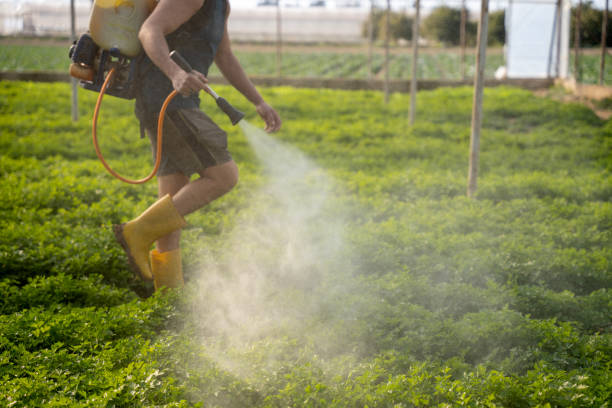 Best Pest Control Near Me in Maryville, IL
