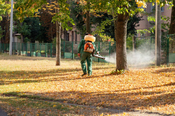 Best Flea Control Services  in Maryvle, IL