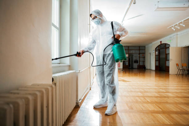 Best Pest Removal Services  in Maryvle, IL