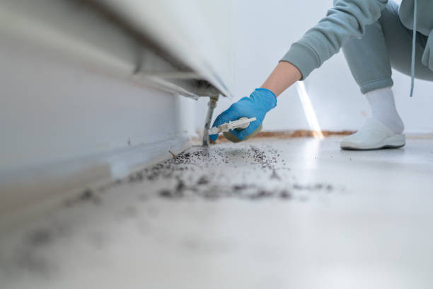 Pest Control for Restaurants in Maryville, IL